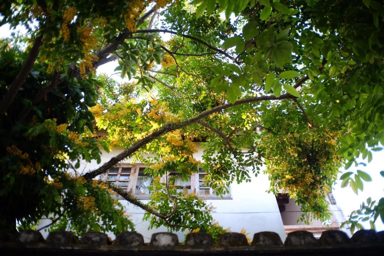 Mali Home Hội An Kültér fotó